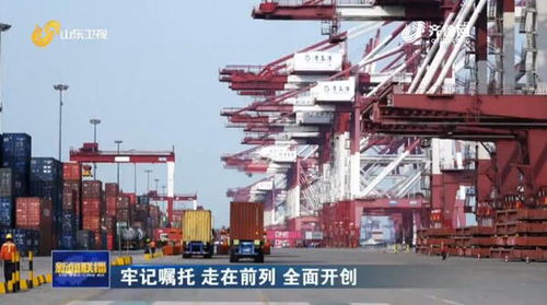 山東推行“船到即提”新模式，以流程再造力促外貿貨物高效流轉